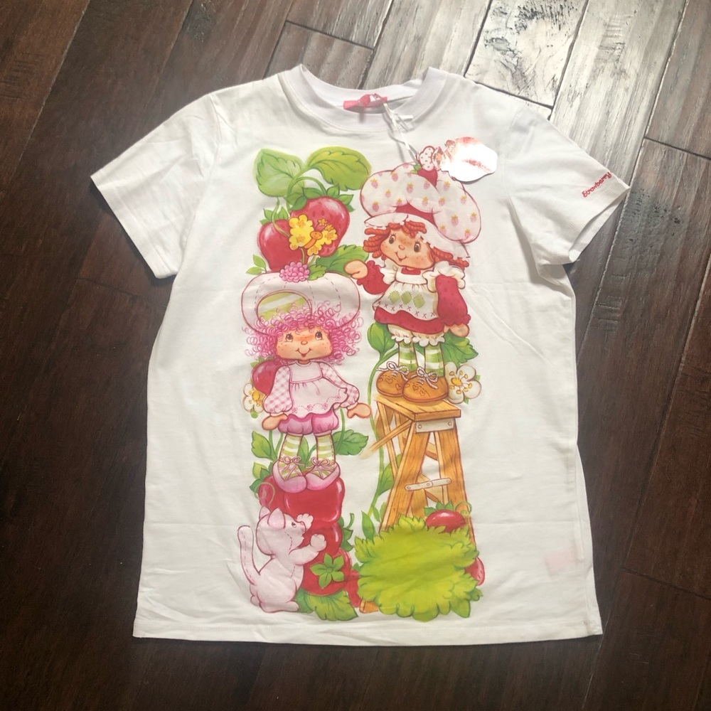Dollskill and Strawberry Shortcake Oversized T-Shirt NWT